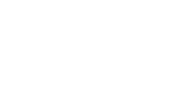 doors and doors logo